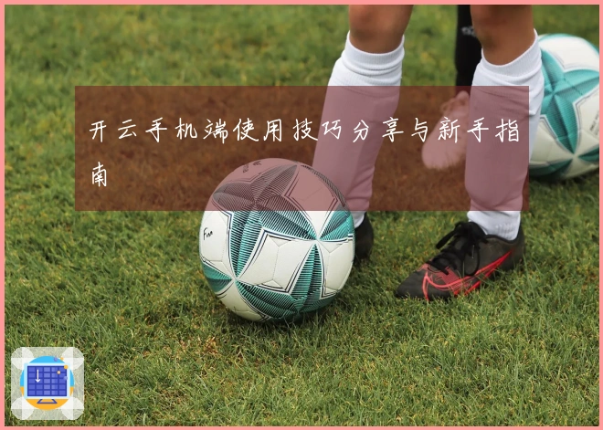 开云手机端使用技巧分享与新手指南